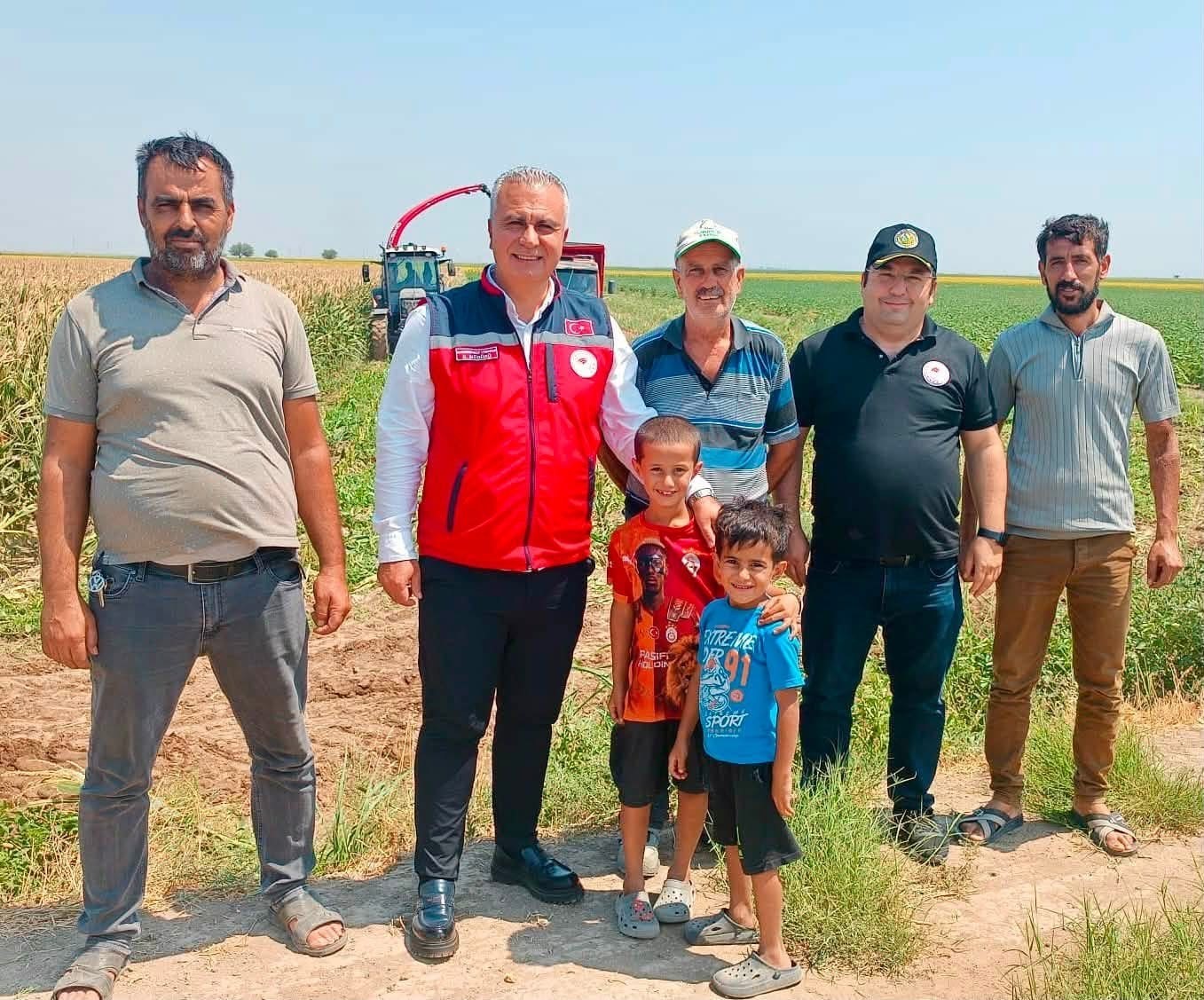 Hatay’da silajlık mısır hasadı başladı