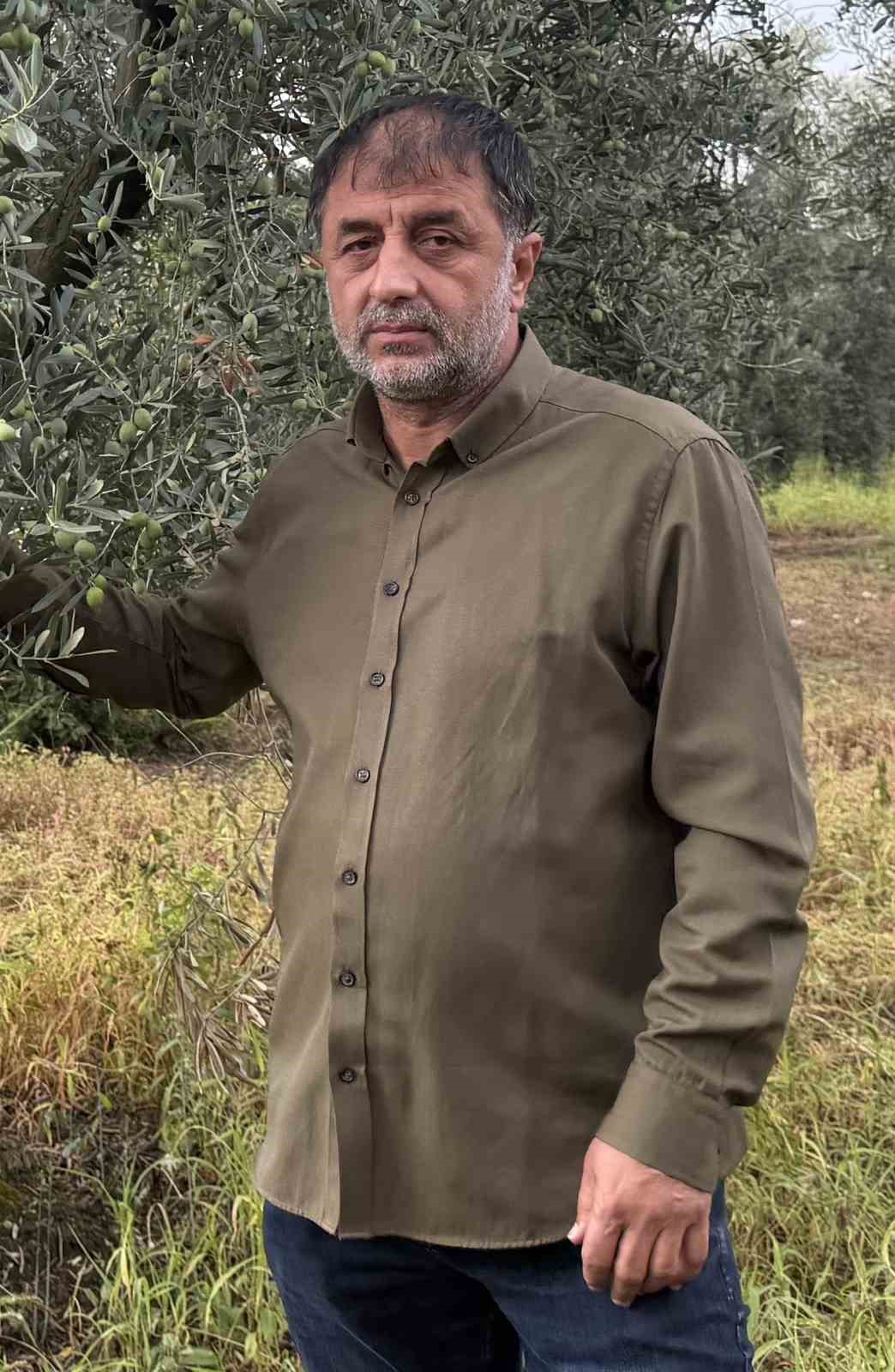 Sarı altın Müşküle üzümünde hasat heyecanı başladı