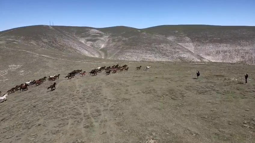Akdağ’ın yılkı atları dronla görüntülendi