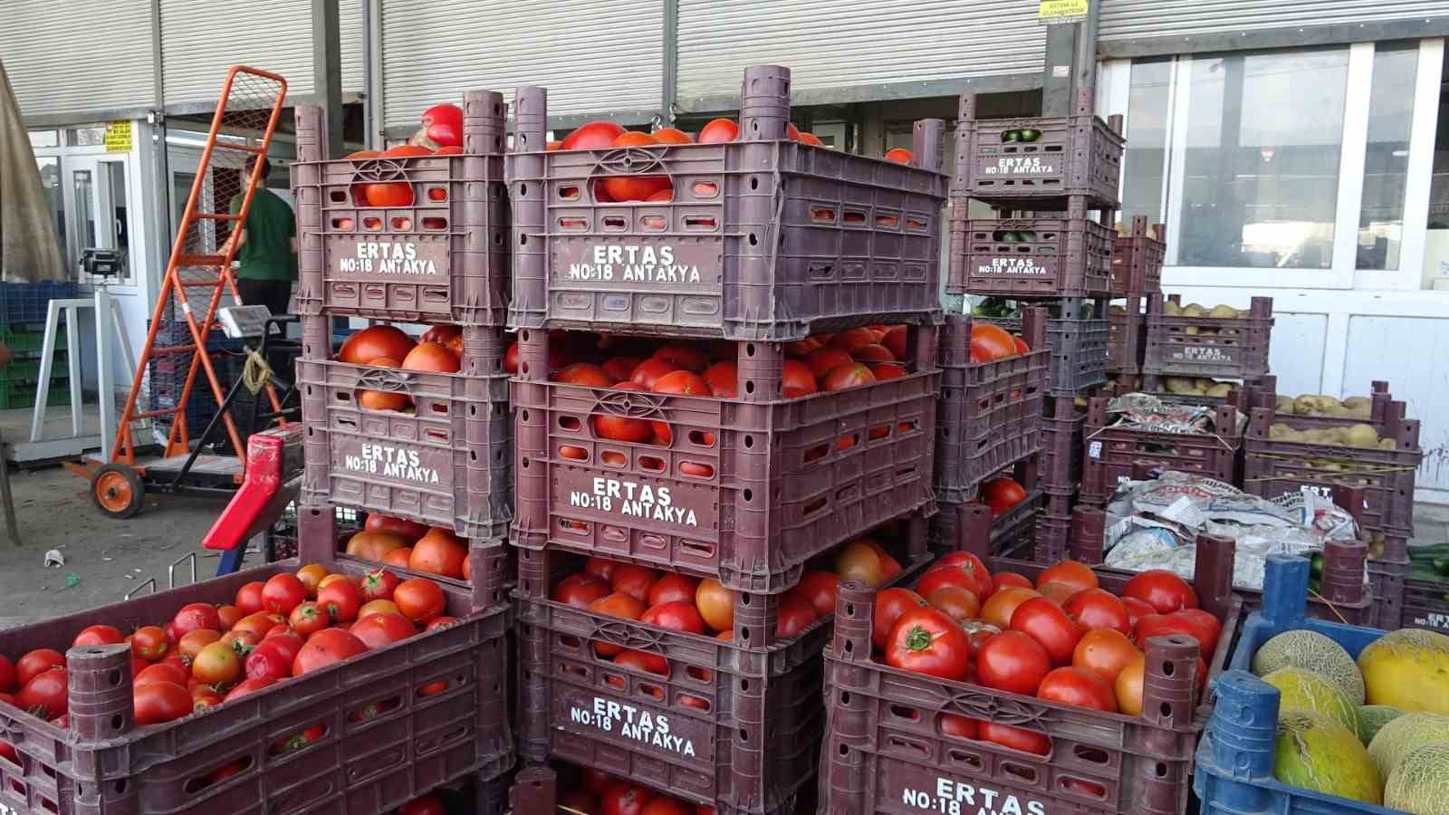 Sebze halindeki domatesin fiyatı 15 TL’ye düştü