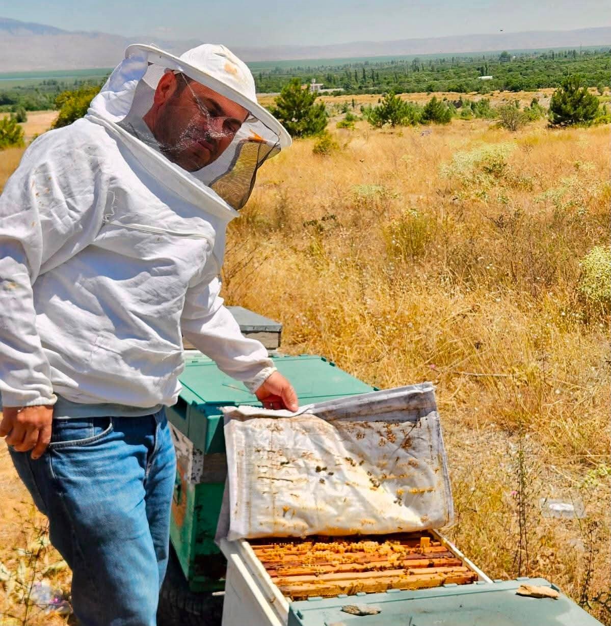 Arılı kovan tespit ve güncelleme çalışmaları devam ediyor