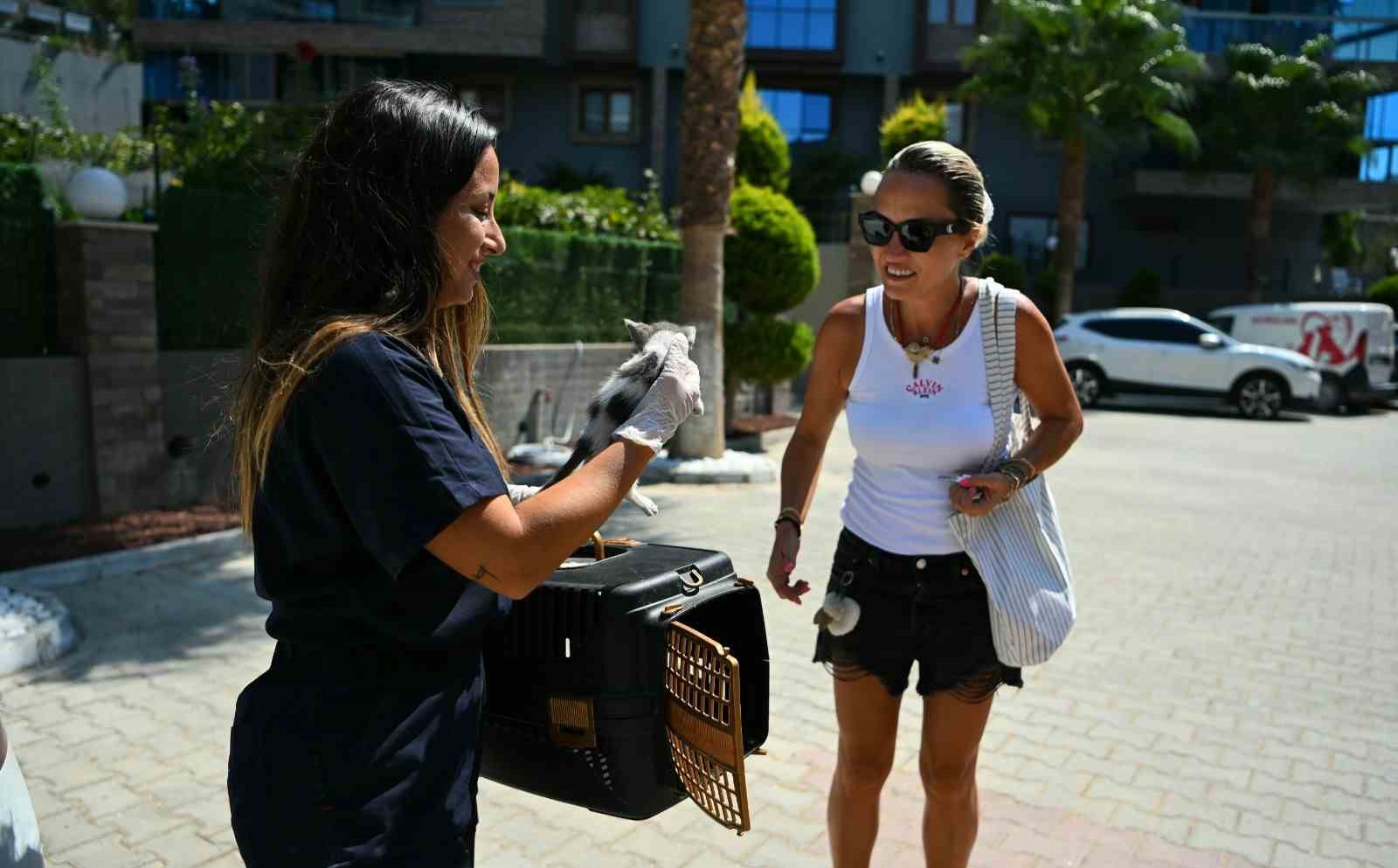 Haybulanslar 7 ayda 10 bin 138 can dostun yardımına koştu