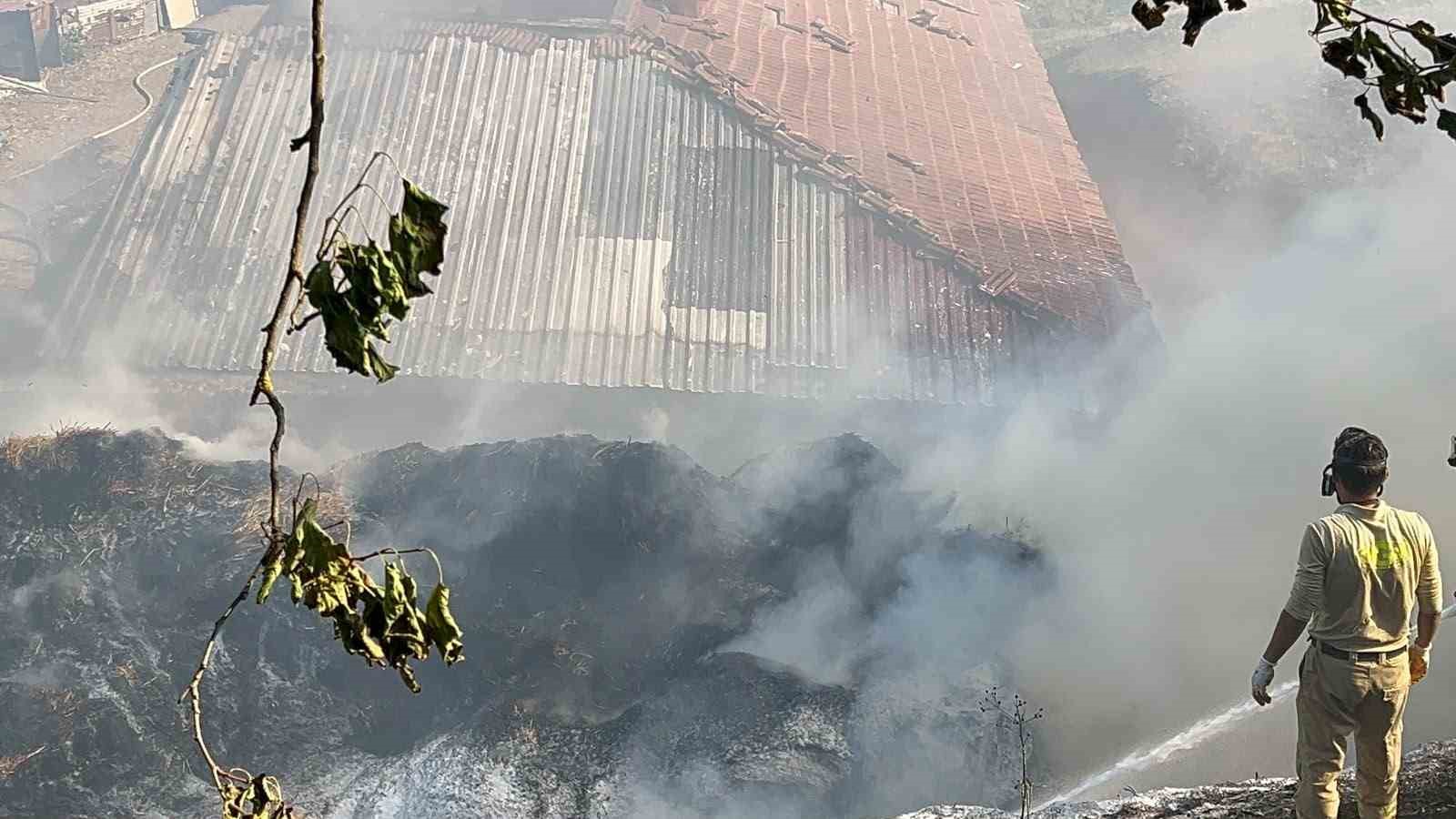 Kastamonu’da 14 büyükbaş hayvanın telef olduğu yangın söndürüldü