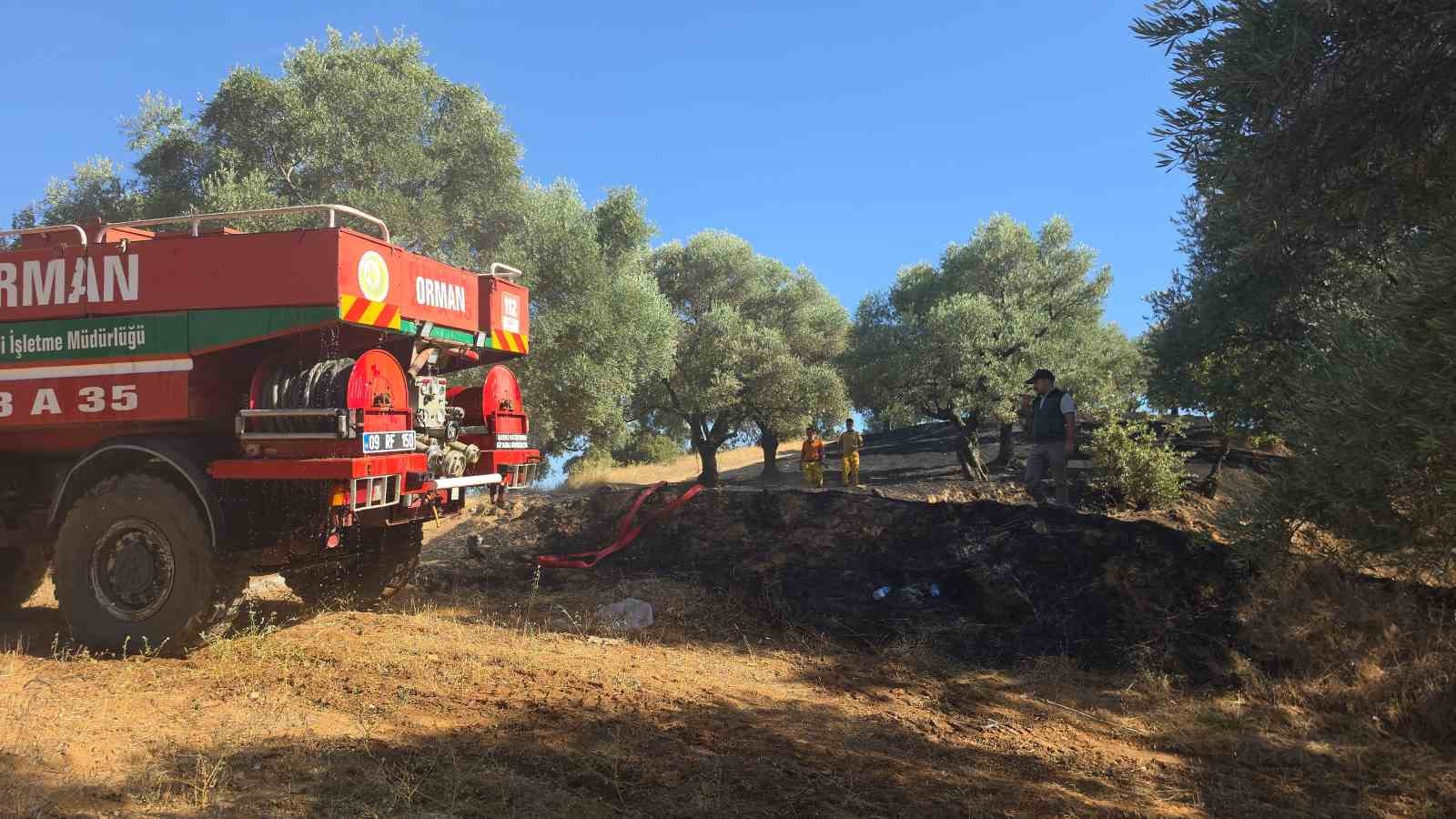 Nazilli&rsquo;de &ccedil;ıkan yangında 2 d&ouml;n&uuml;m zeytinlik zarar g&ouml;rd&uuml;