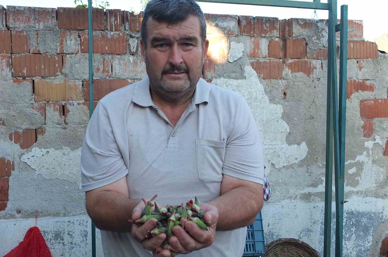 Burhaniye’de kınalı bamya ilgi gördü