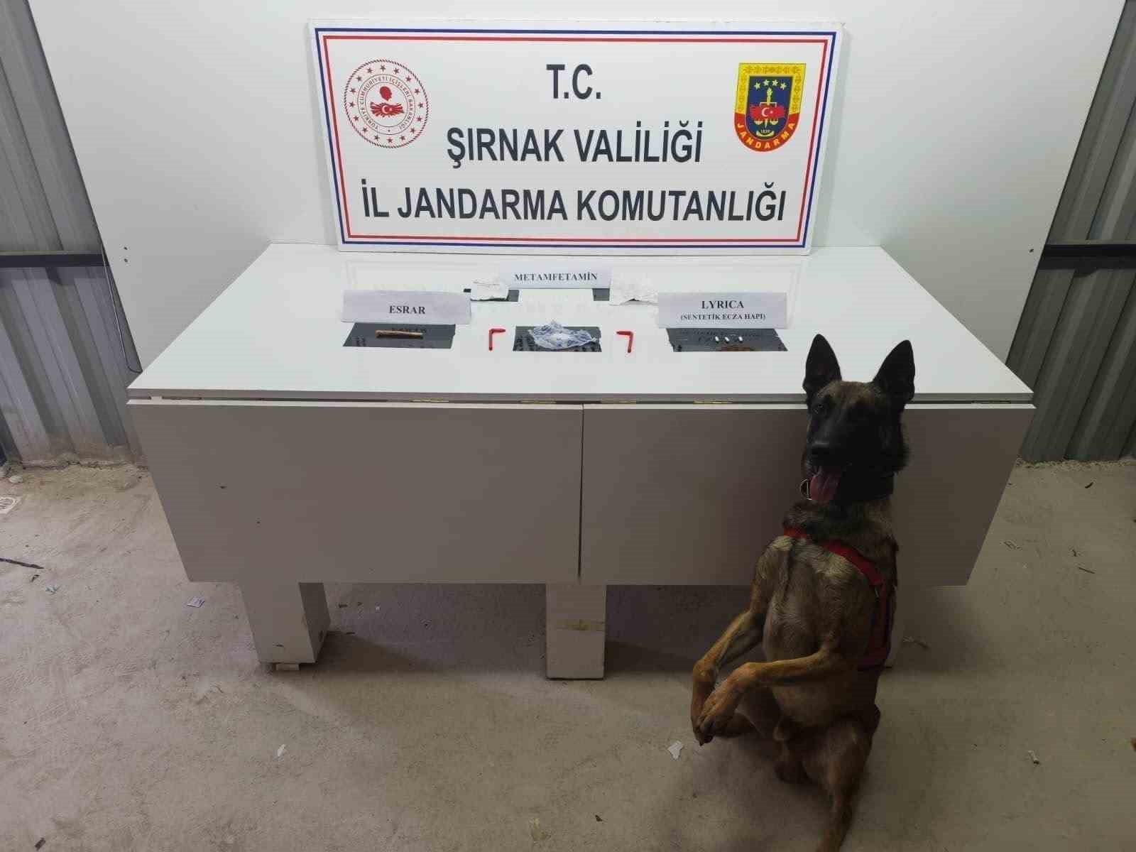 Şırnak’ta jandarmadan kaçakçılığa büyük darbe: 82 milyon liralık kaçak ürün ele geçirildi