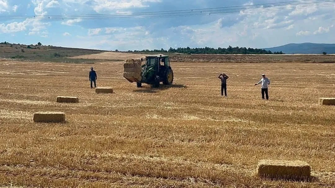 Sinop’ta yılın ilk buğdayları hasat edildi