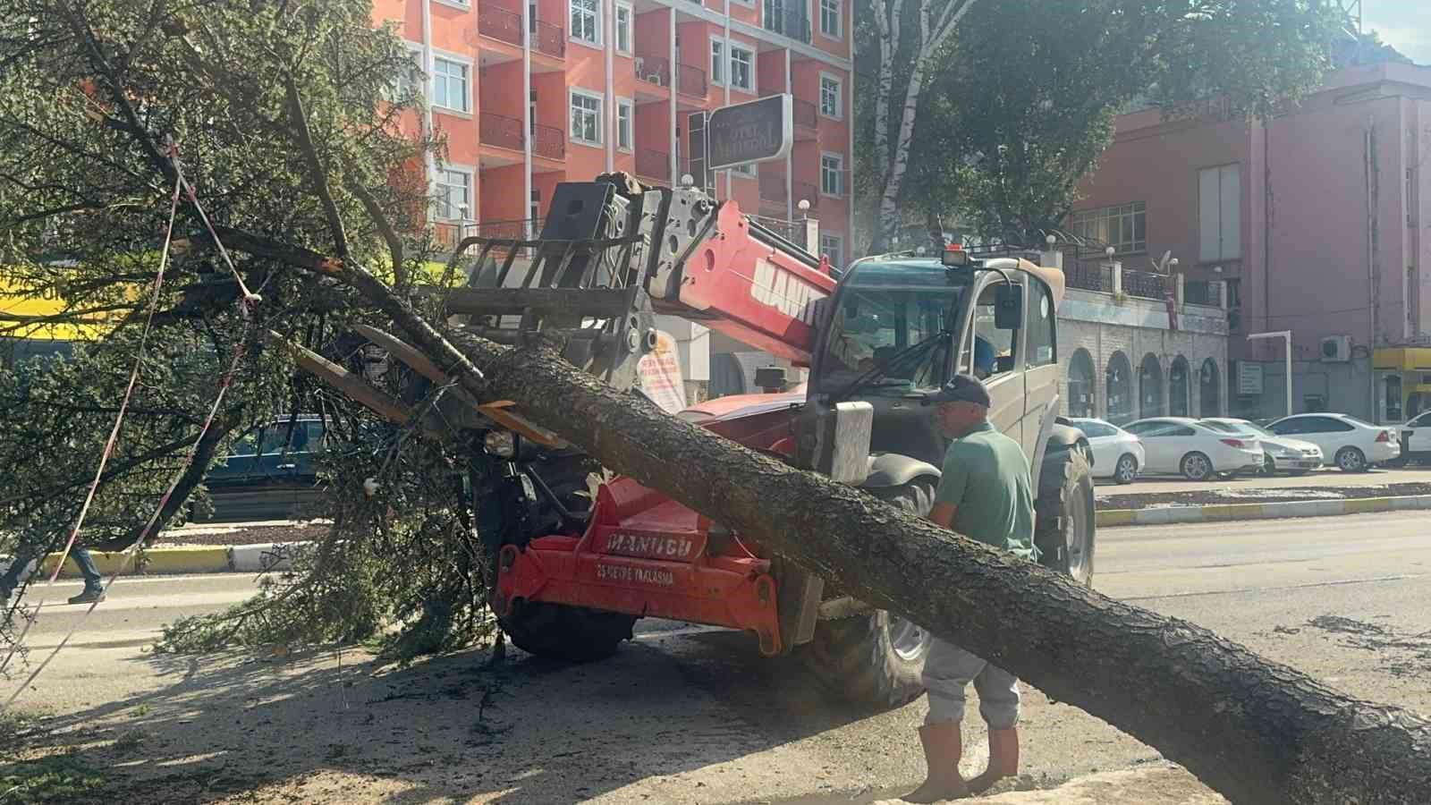 Fırtınada kökünden sökülen ağaç otomobilin üzerine devrildi