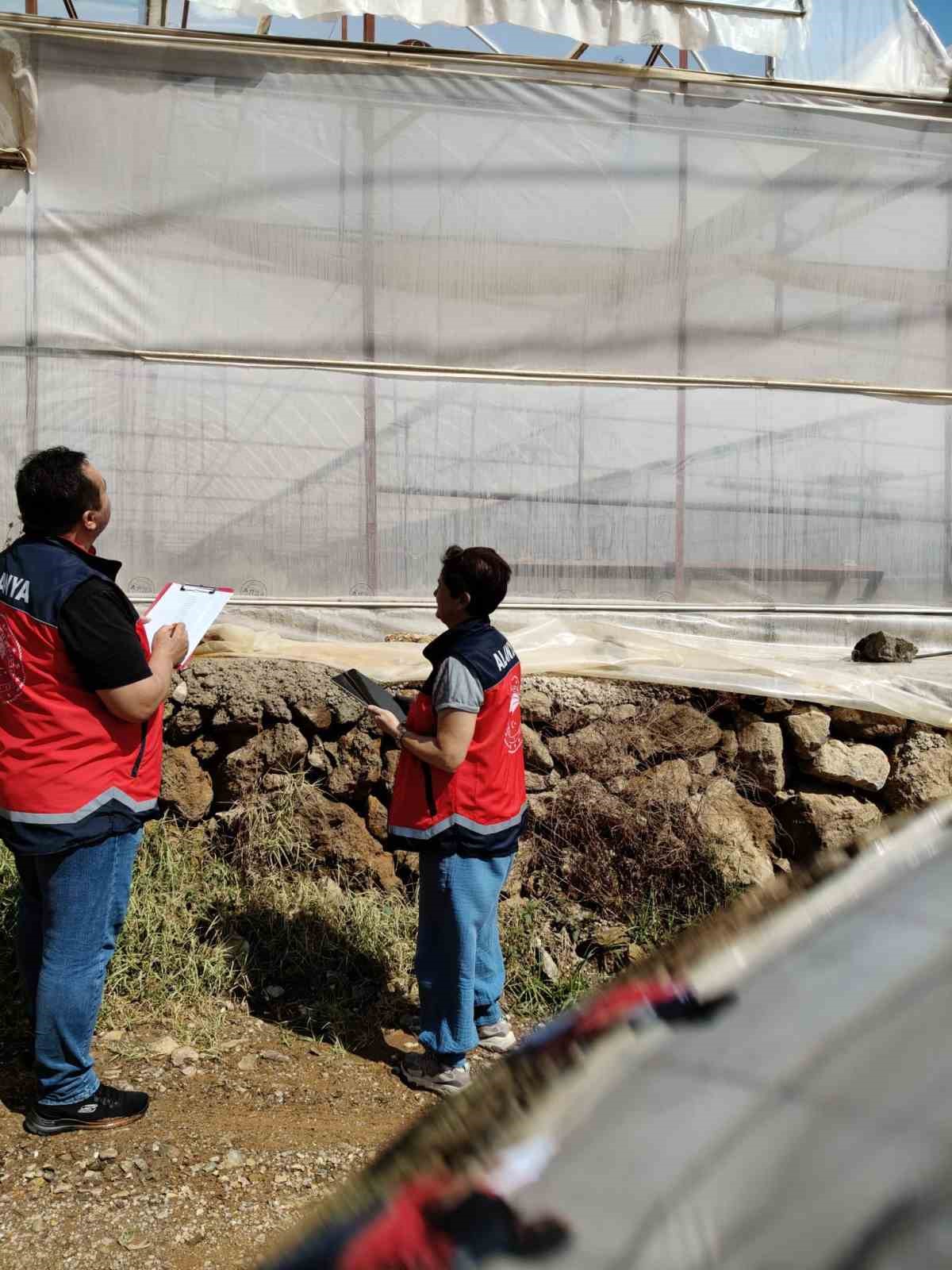 Alanya’da 22 bin dekar alanda seralar tek tek inceleniyor