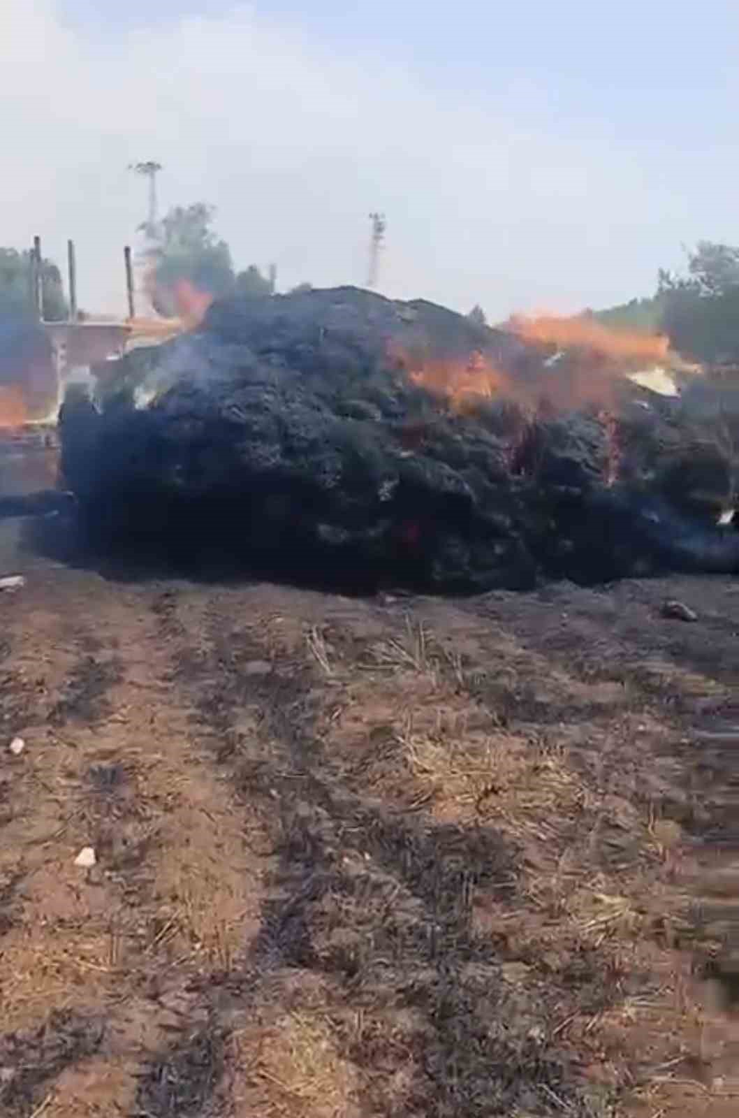Tarsus&rsquo;ta saman balyaları alevlere teslim oldu