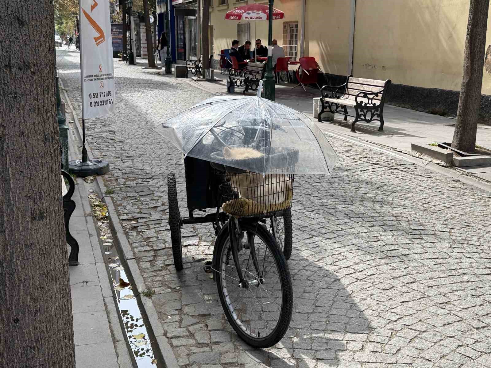 Bisiklet sepetindeki köpeğini yağmurdan şemsiye ile korudu