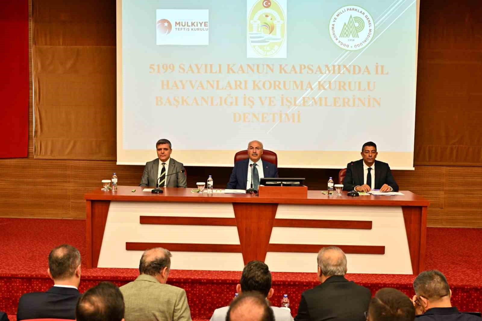 Denizli’de sahipsiz hayvanlar için kritik zirve