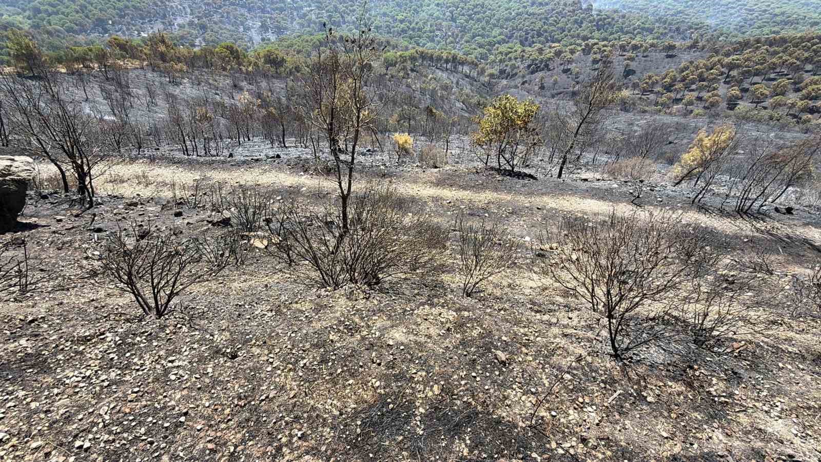 Balıkesir’deki orman yangınında belediye başkanından müjdeli haber