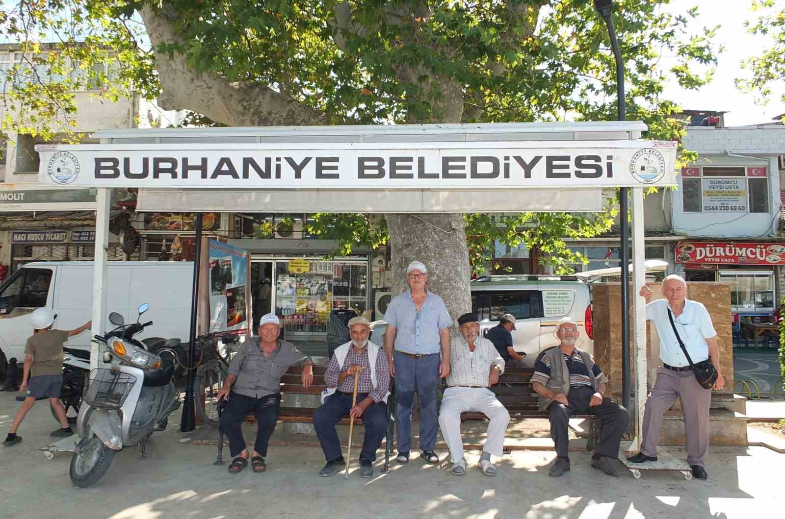 Burhaniye’de tarihi çınar ağacı ilgi bekliyor