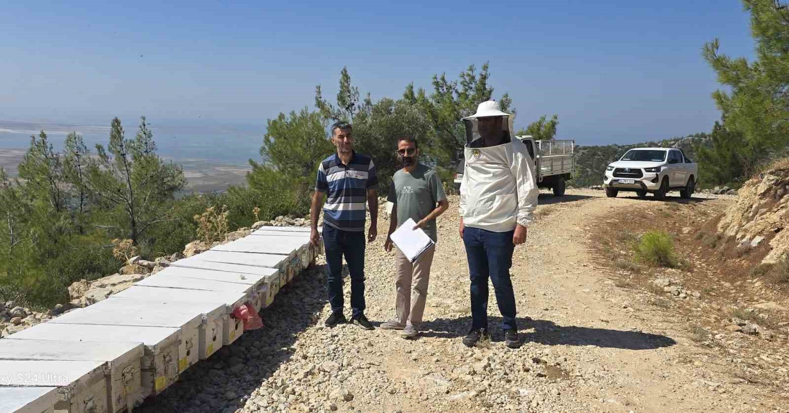 Söke’de arılı kovan tespit çalışmaları sürüyor