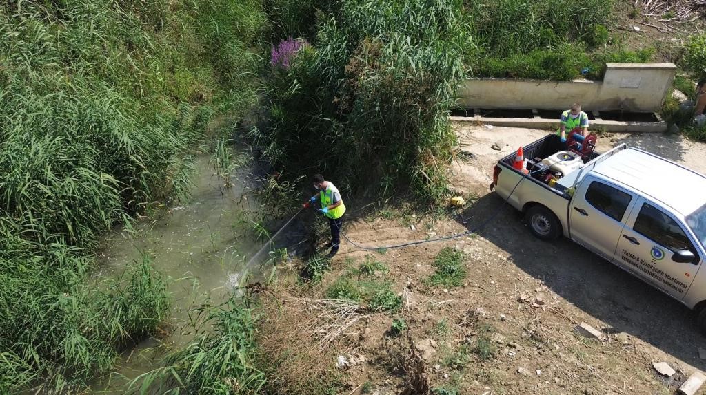 Tekirdağ il genelinde vekt&ouml;rlere karşı m&uuml;cadele &ccedil;alışmaları