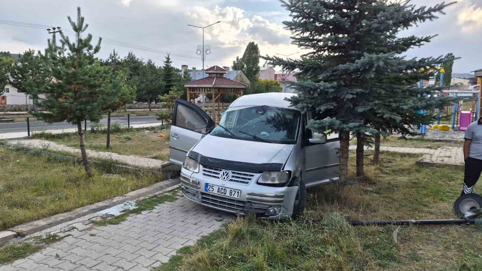 Sarıkamış&rsquo;ta hafif ticari ara&ccedil; şarampole devrildi: 2 yaralı