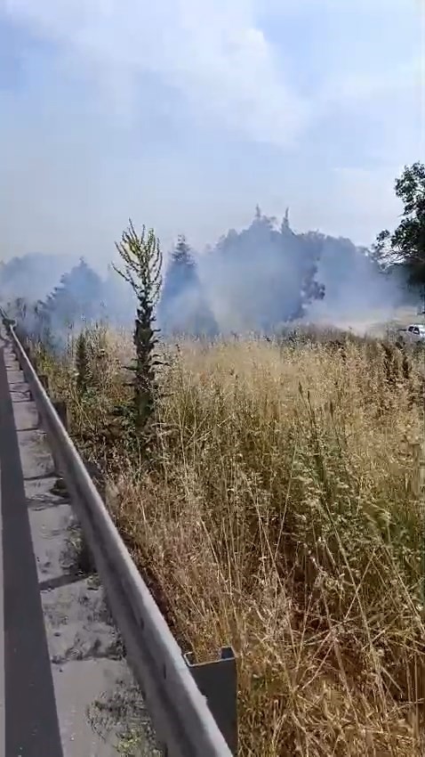 İzmir-Bursa kara yolunda alevler korkuttu
