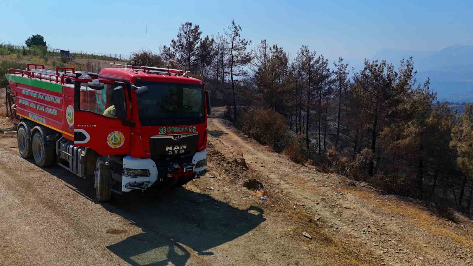 Adana’daki yangında binlerce hektar alan küle döndü
