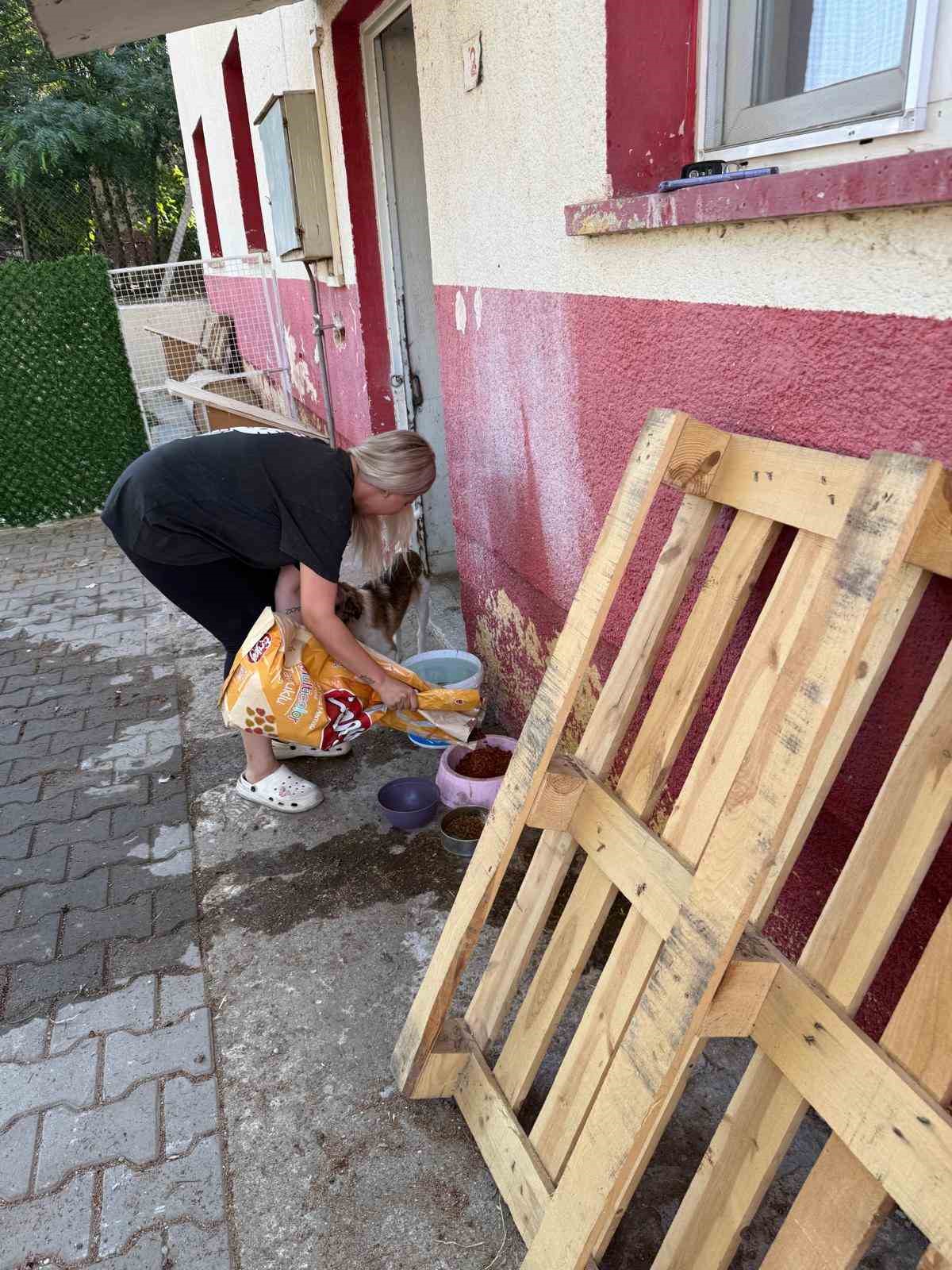 Sarıg&ouml;l&rsquo;de sahipsiz hayvanlara umut oluyorlar