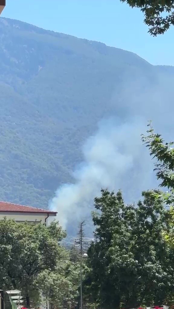 Kestel&rsquo;deki orman yangını s&ouml;nd&uuml;r&uuml;ld&uuml;