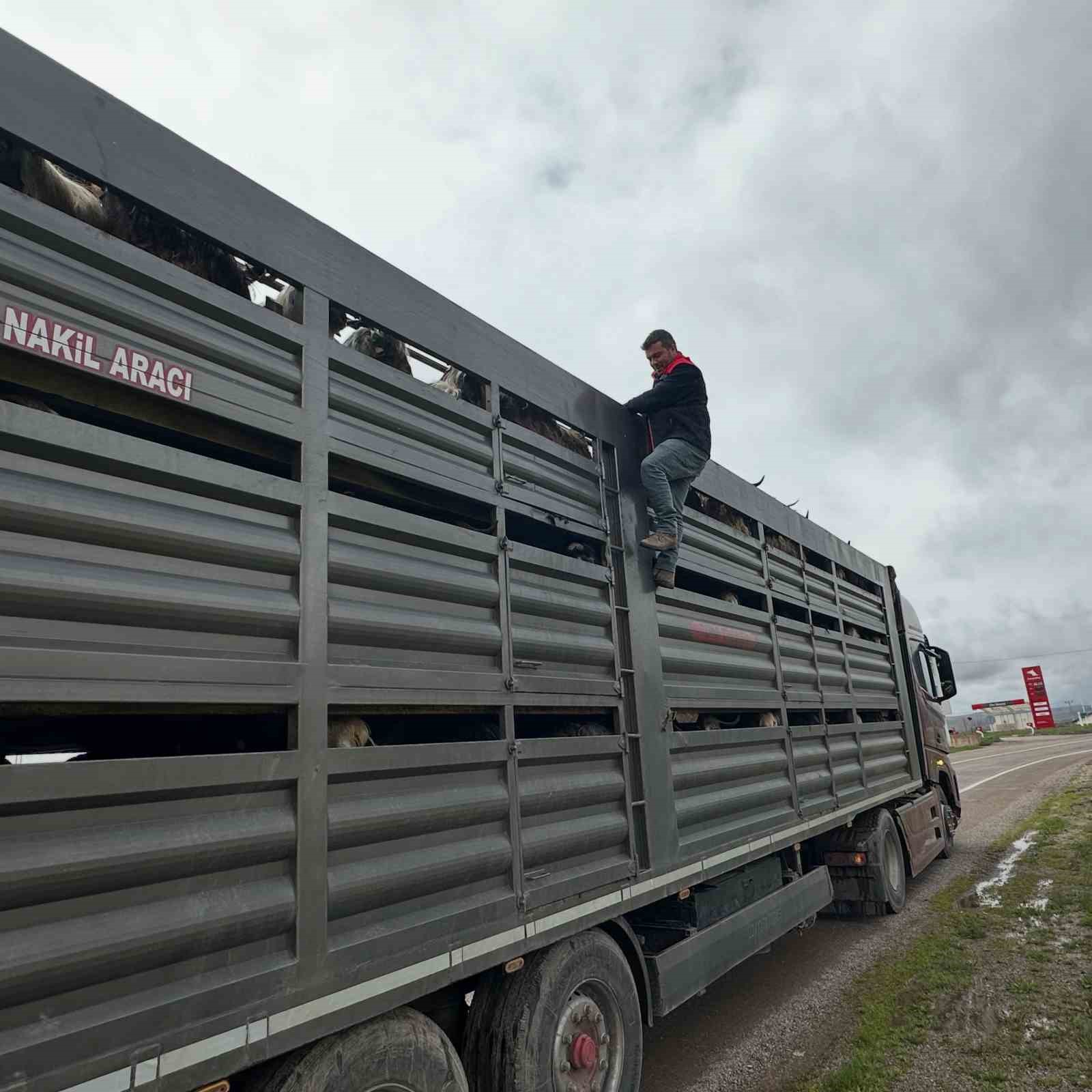 Kurban Bayramı öncesi Aydıntepe’de yol kontrolleri devam ediyor