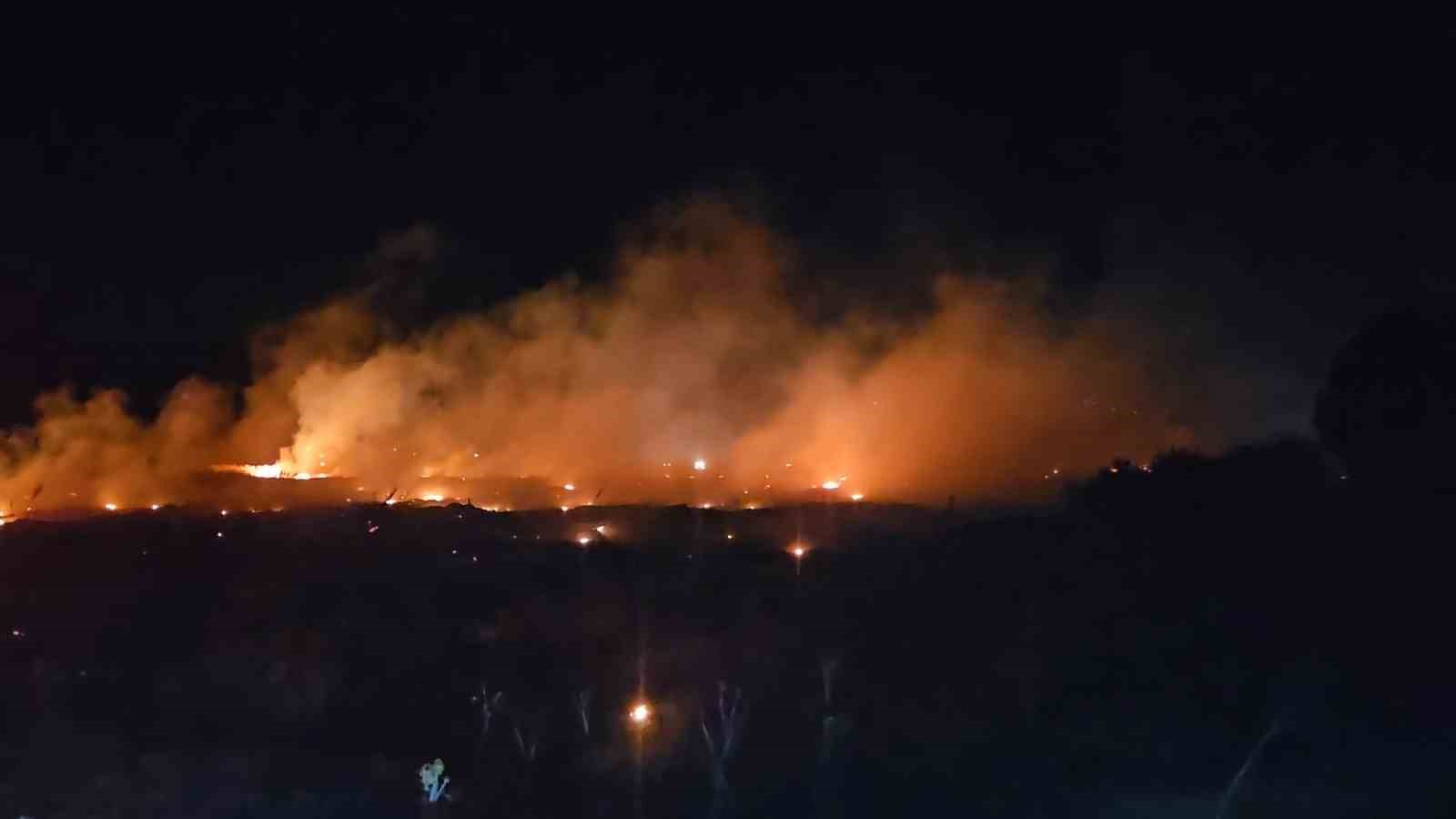 Burhaniye&rsquo;de korkutan &ouml;rt&uuml; yangını