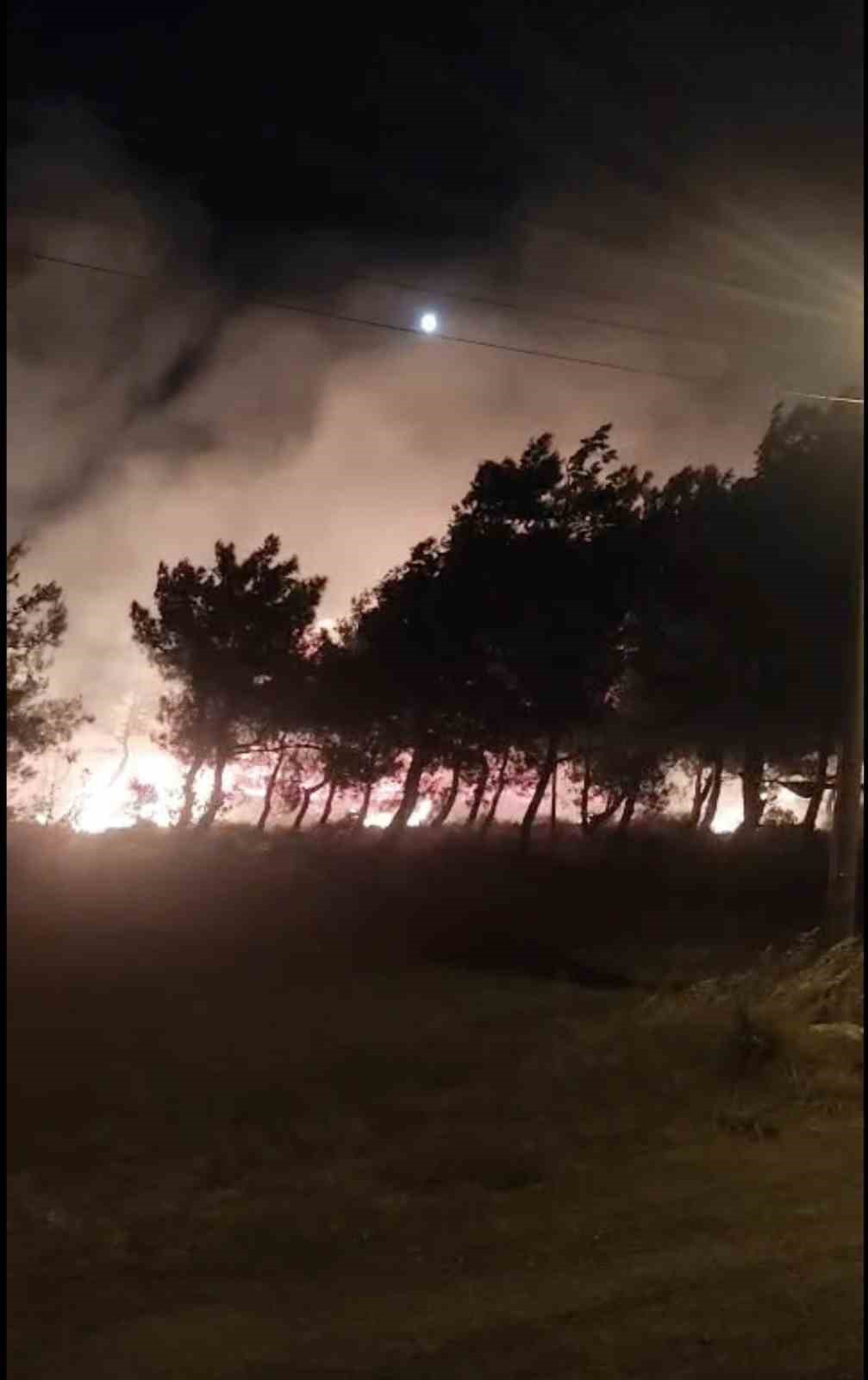 Cunda Adası&rsquo;ndaki orman yangını kontrol altına alındı