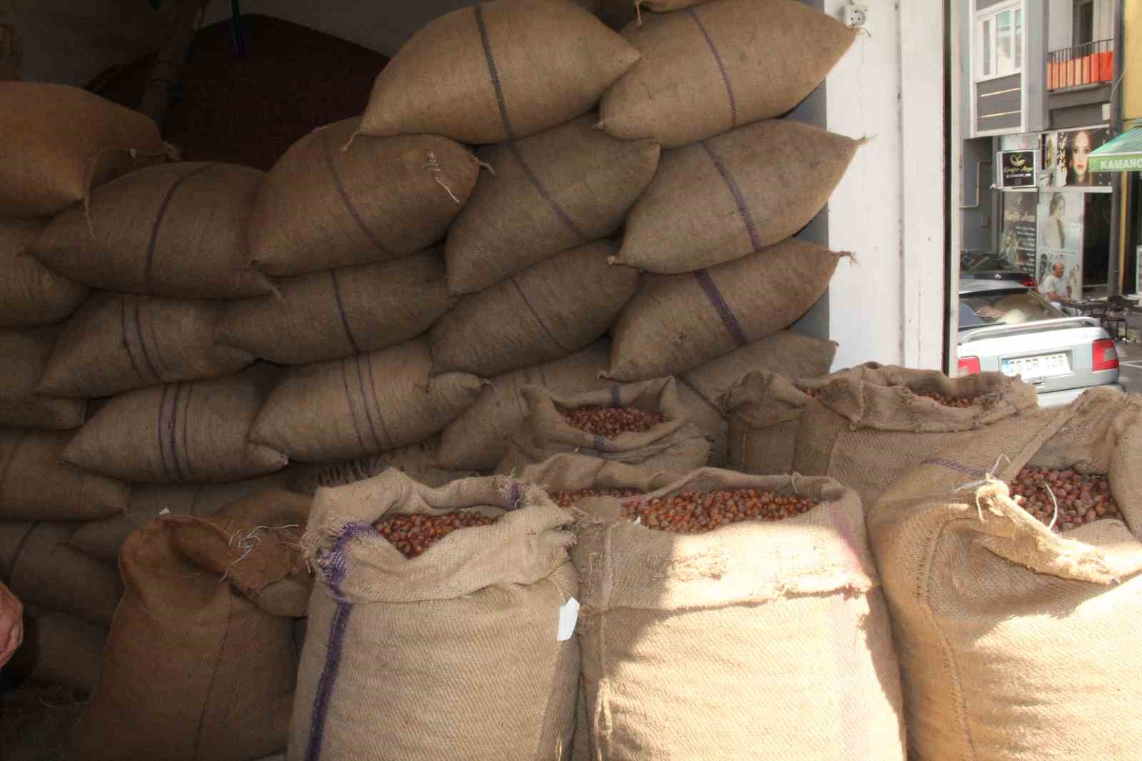 Fındıkta hasat öncesi fiyatlar geriledi, gözler alım fiyatında