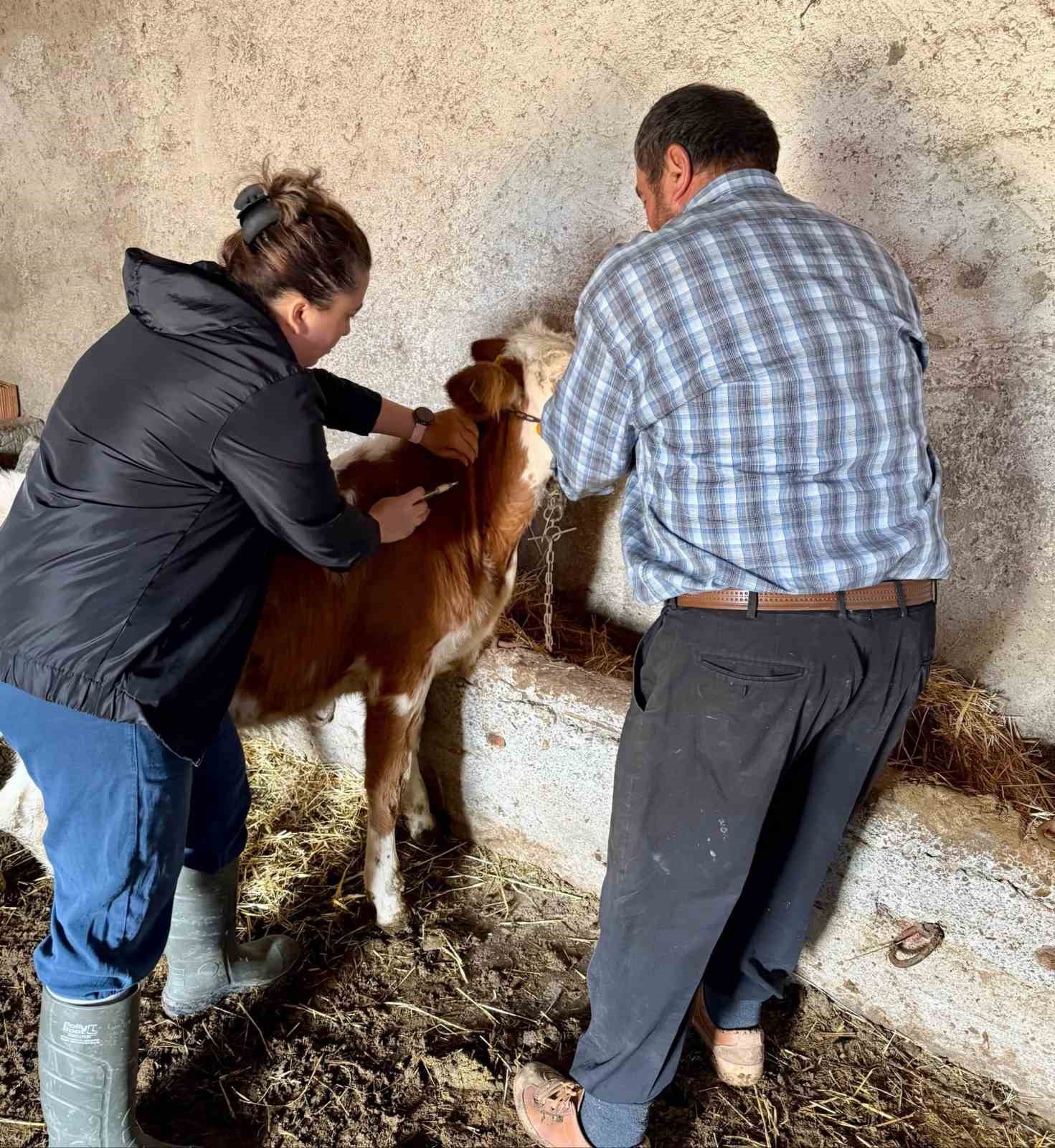 &Ccedil;ay&rsquo;da sonbahar aşılama kampanyası s&uuml;r&uuml;yor