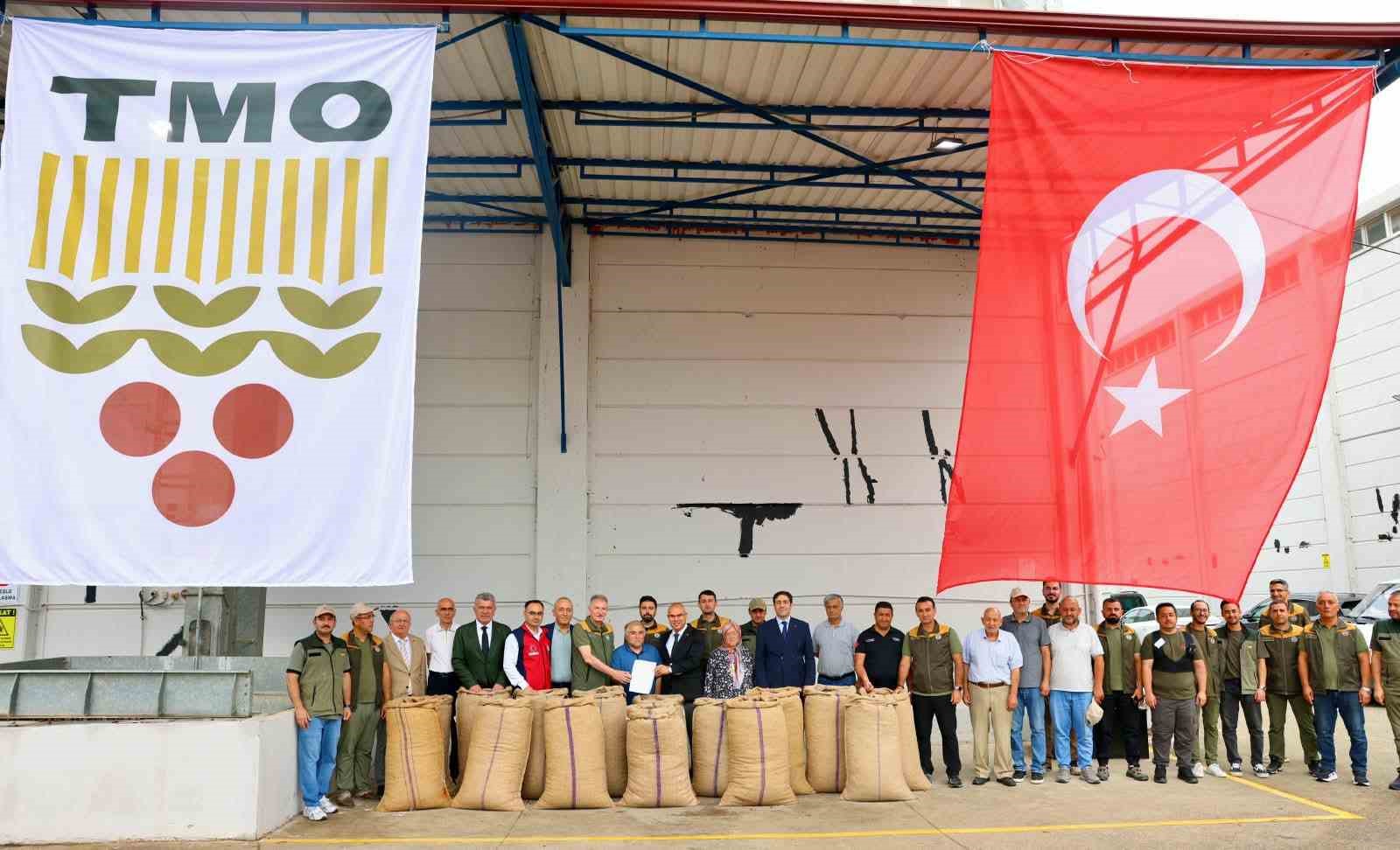 TMO, Giresun’da fındık alımına başladı