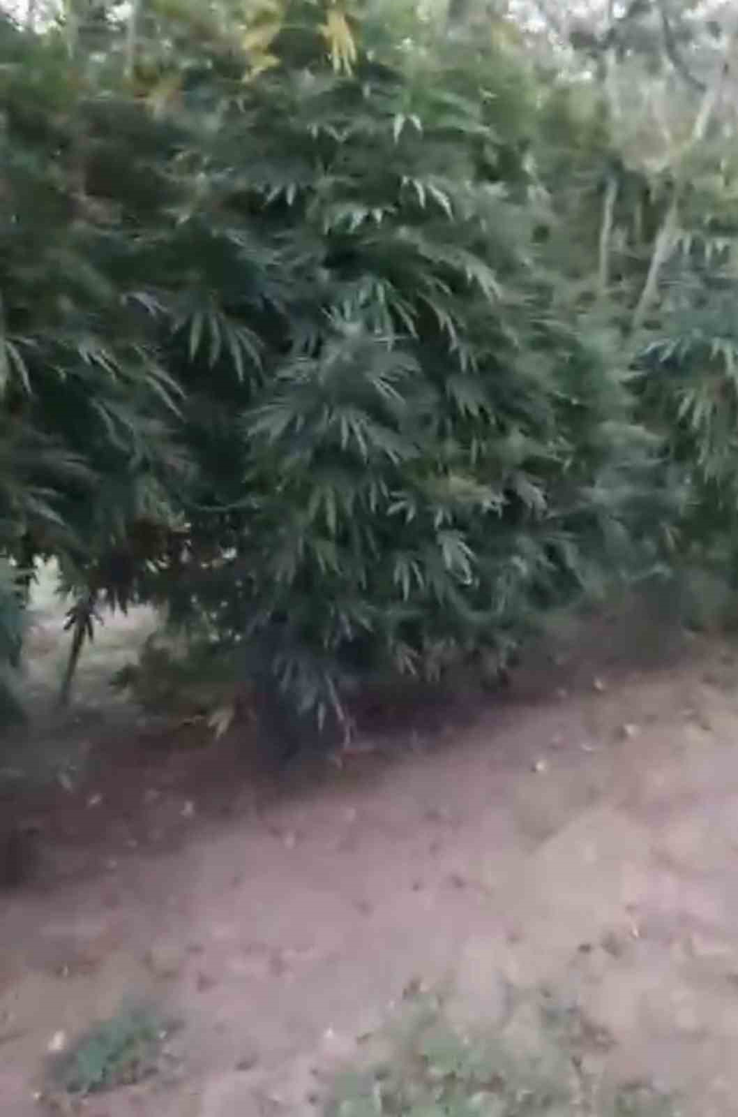 Samsun’da peş peşe uyuşturucu operasyonları: 1 kilo 225 gram metamfetamin ele geçirildi