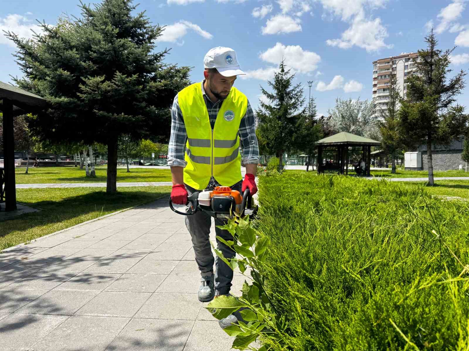 B&uuml;y&uuml;kşehirden kent estetiğine titiz dokunuş: S&uuml;s bitkilerine form budaması
