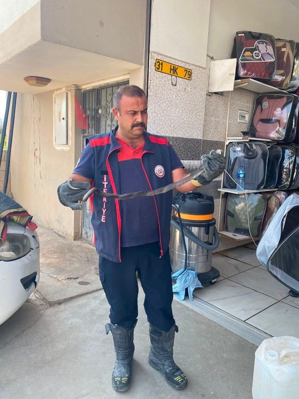 Hatay&rsquo;da yerleşim alanlarına giren yılanlar doğal yaşam alanına bırakıldı