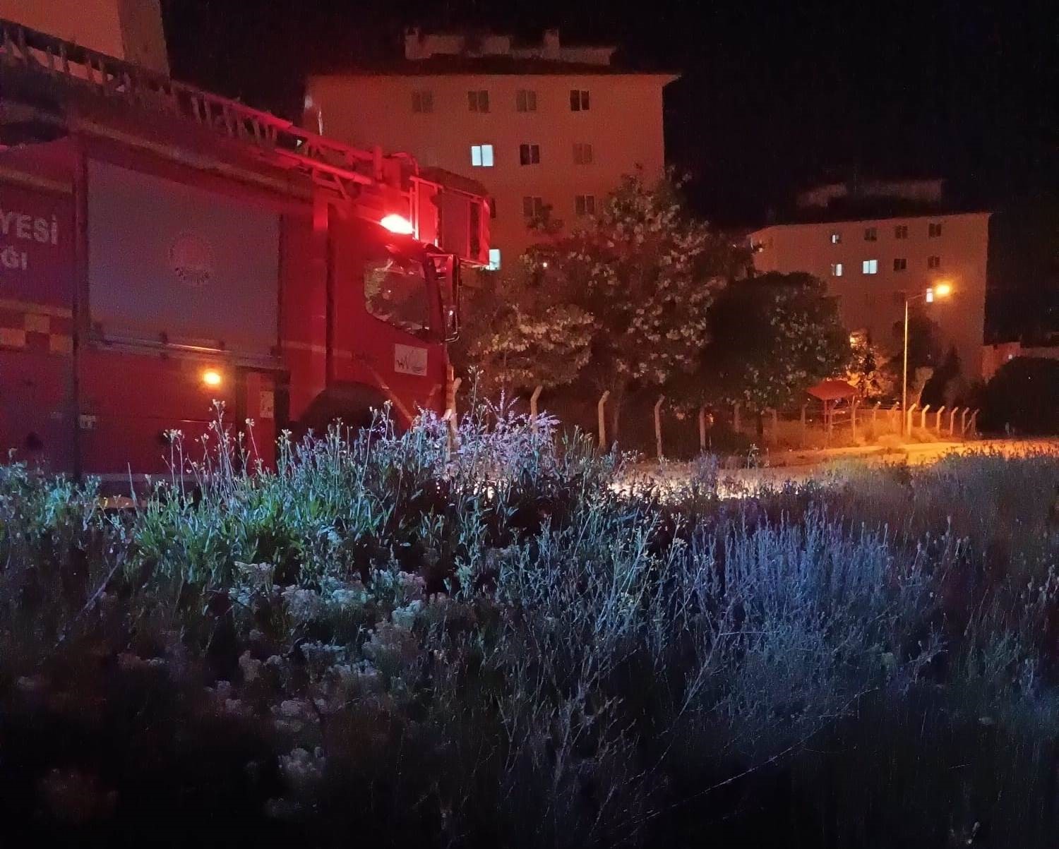 Van’da anız yangını