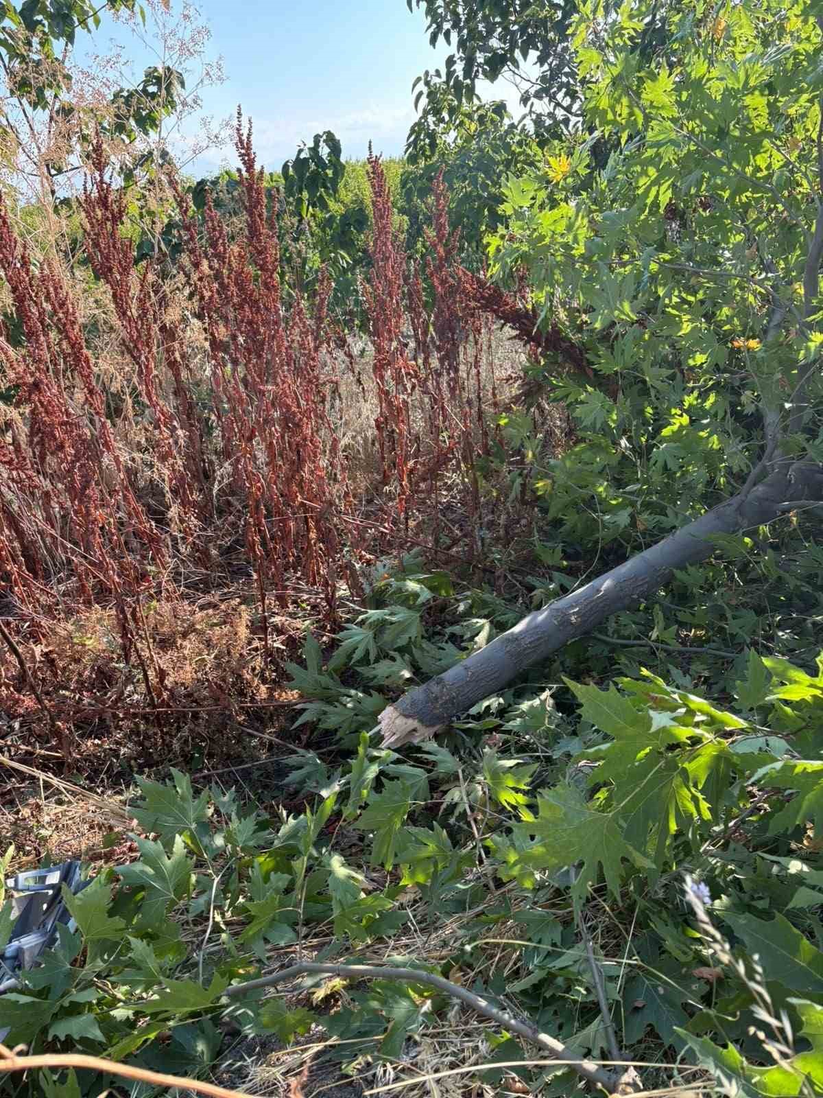 Gönen’de trafik kazası: 1 yaralı
