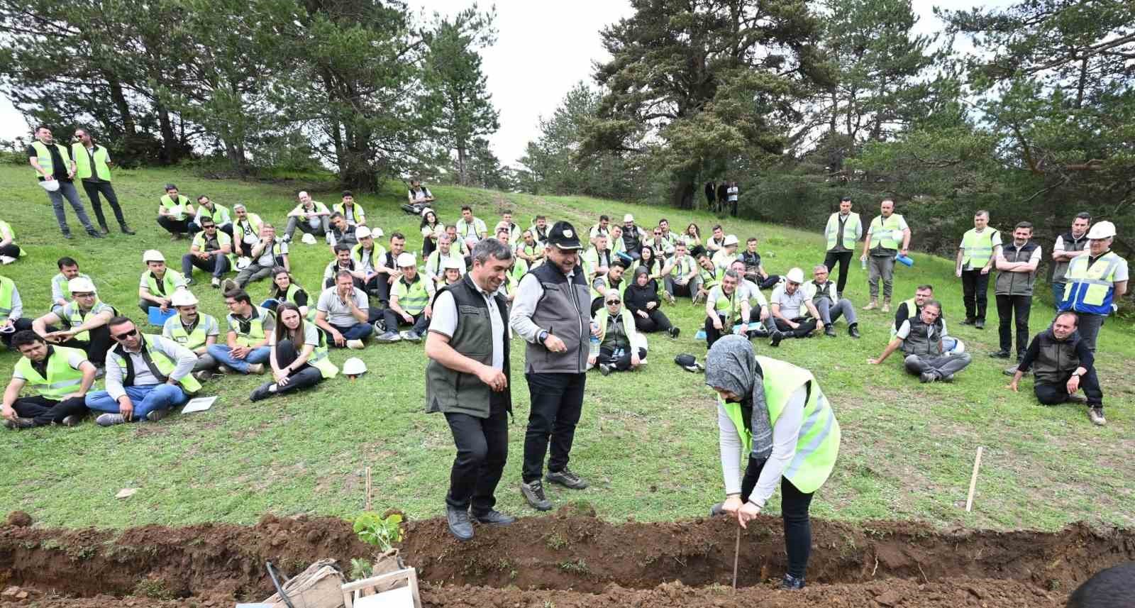 Vezirköprü’de orman personeline uygulamalı silvikültür eğitimi