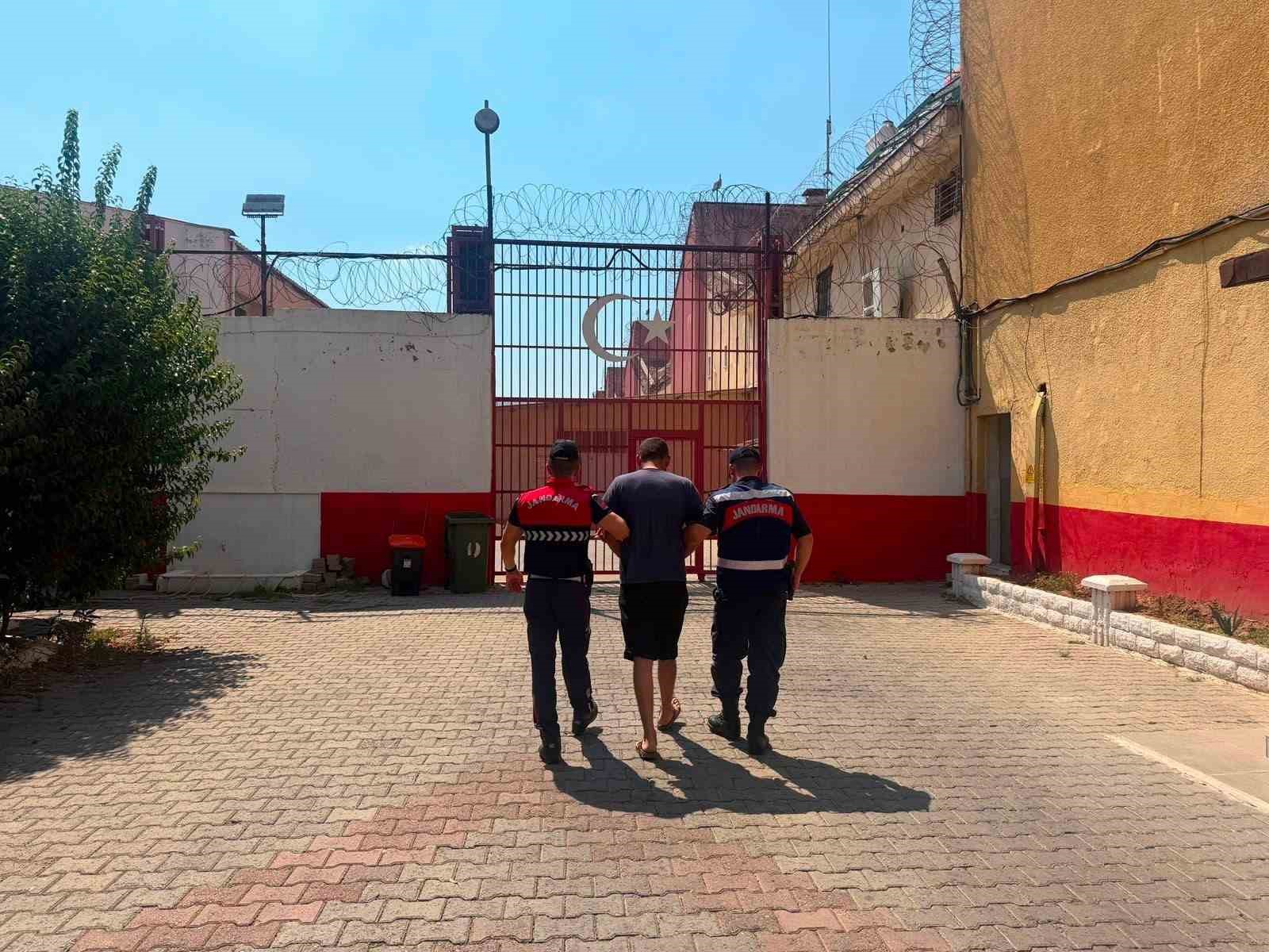 Koçarlı’da 15 koyun evin bahçesinden çalındı