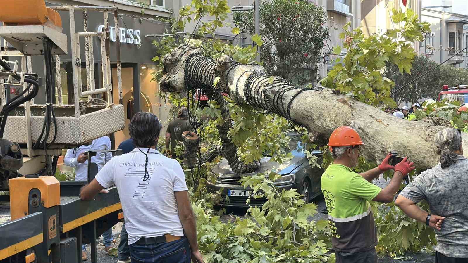 Şişli&rsquo;de ara&ccedil;ların &uuml;zerine devrilen &ccedil;ınar ağacı kaldırıldı
