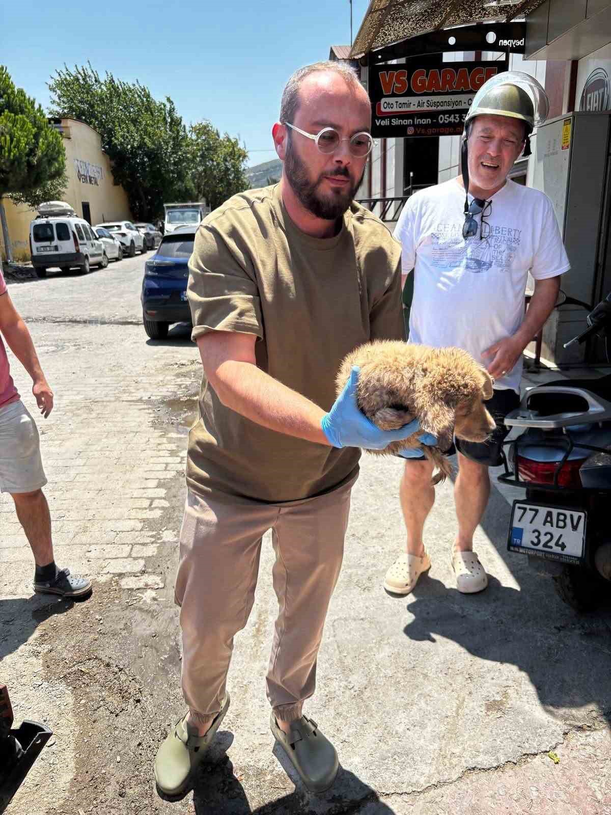 Araç tamponuna sıkışan yavru köpeği veteriner hekimler kurtardı
