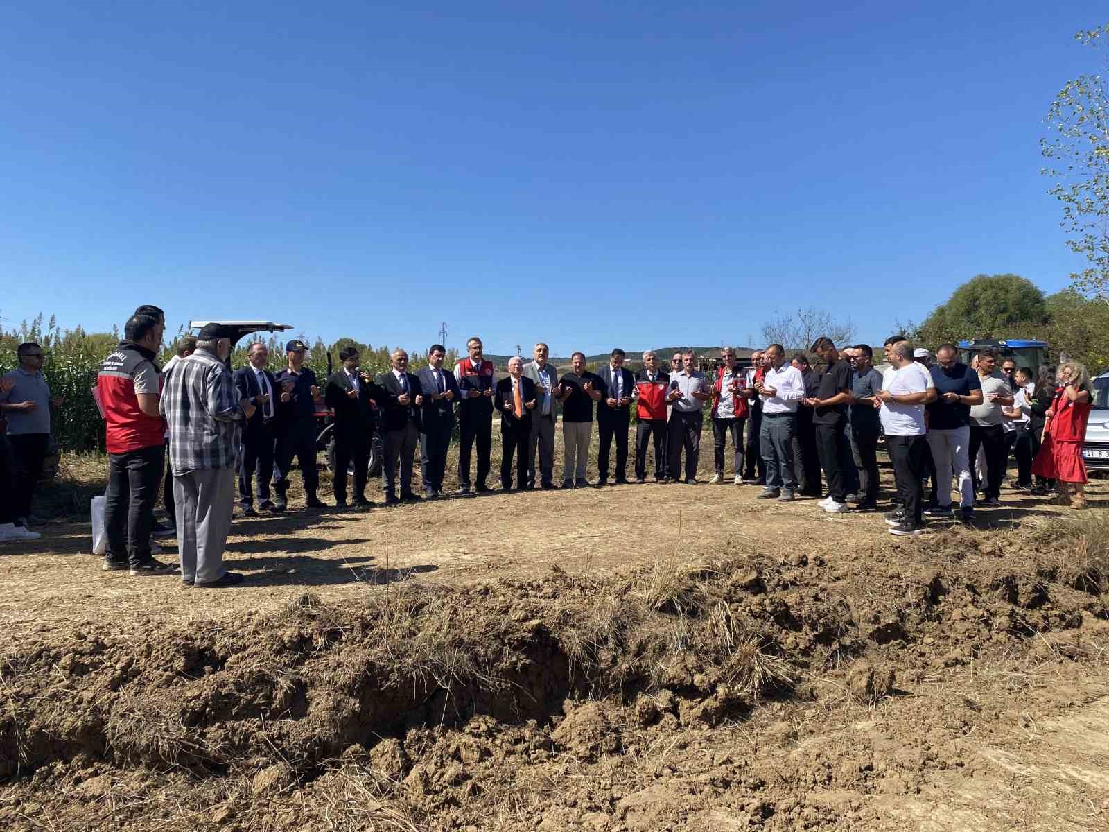 Körfez’de sorgum-sudan otu bereketi: Çiftçinin yüzü güldü