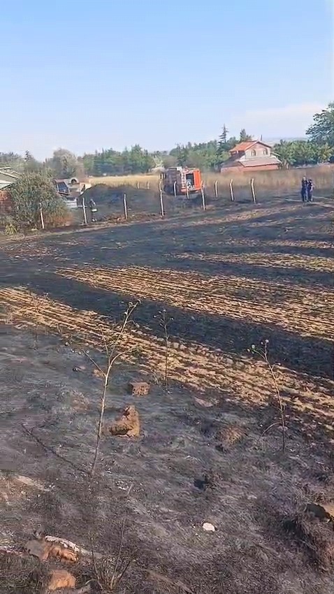 Keskin Mahallesi’ndeki ot yangını büyümeden söndürüldü