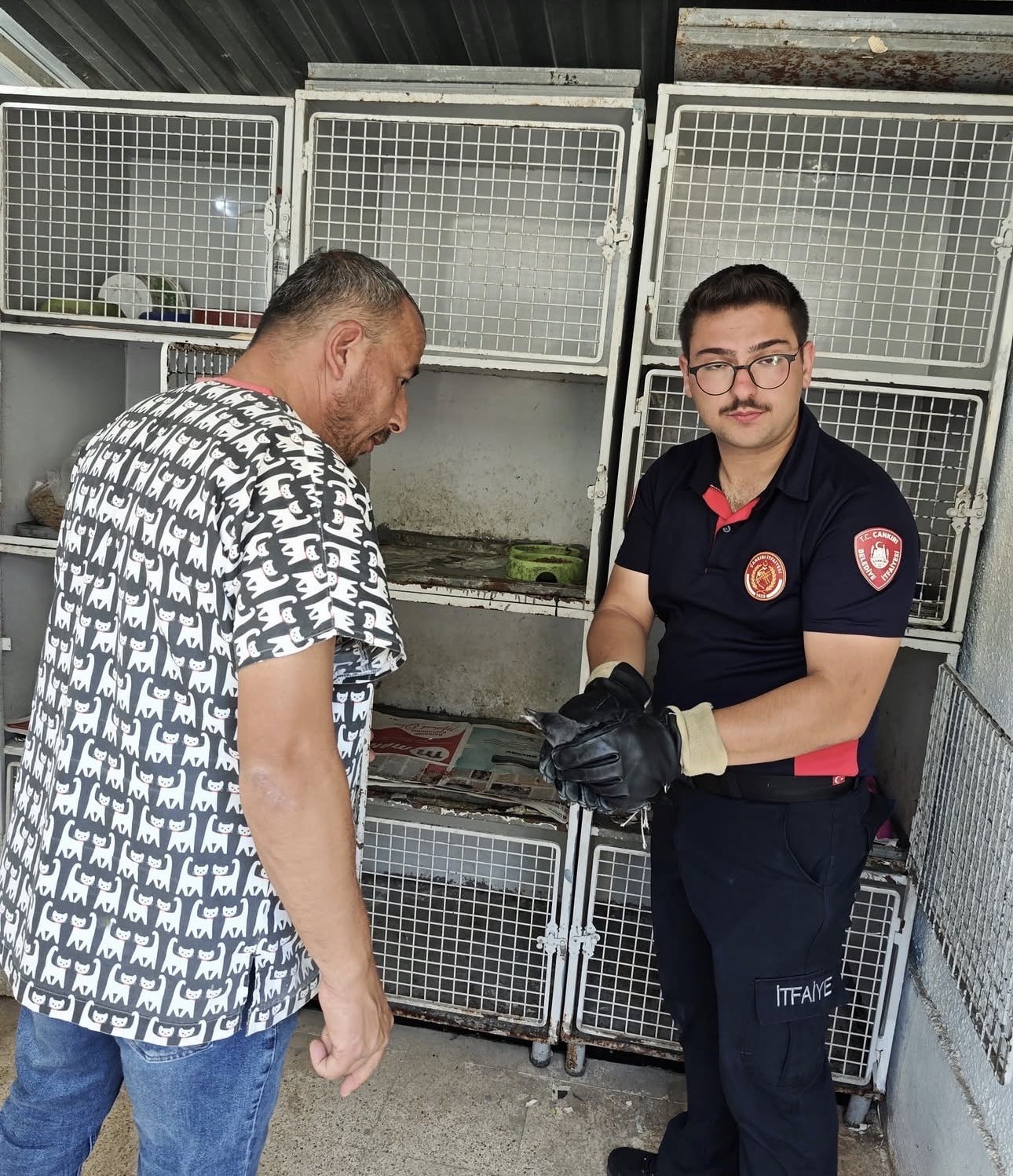 Yaralı karga koruma altına alındı
