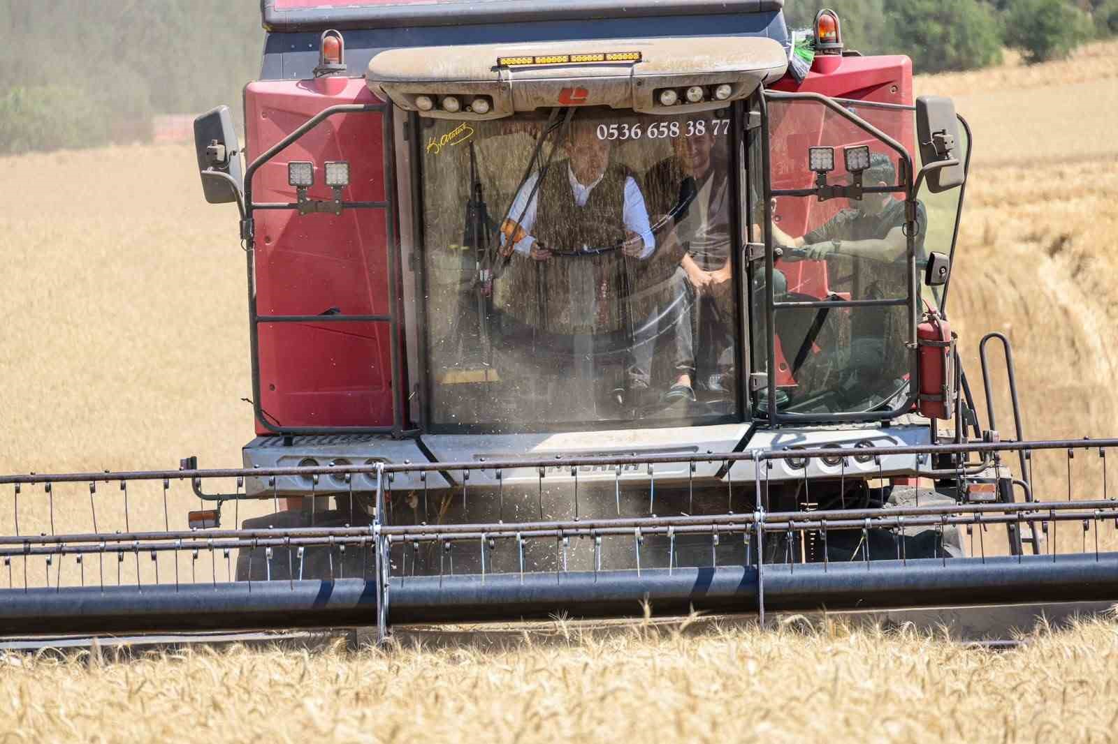 Bilecik’te bu yıl 335 bin dekar alanda 167 bin 500 ton buğday üretimi bekleniyor