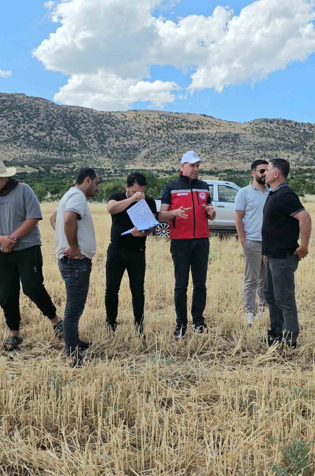 TAKEP kapsamında yüzde 75 hibe ile mercimek tohumuna müracaatlar başladı