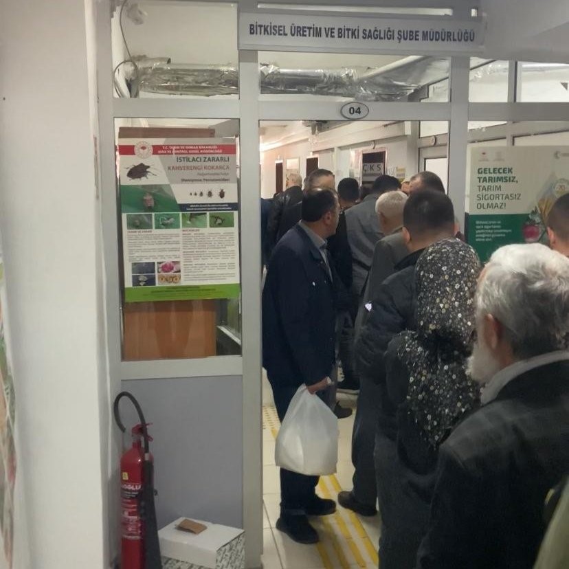 D&uuml;zce&rsquo;de 72 bin metruk bina ila&ccedil;landı