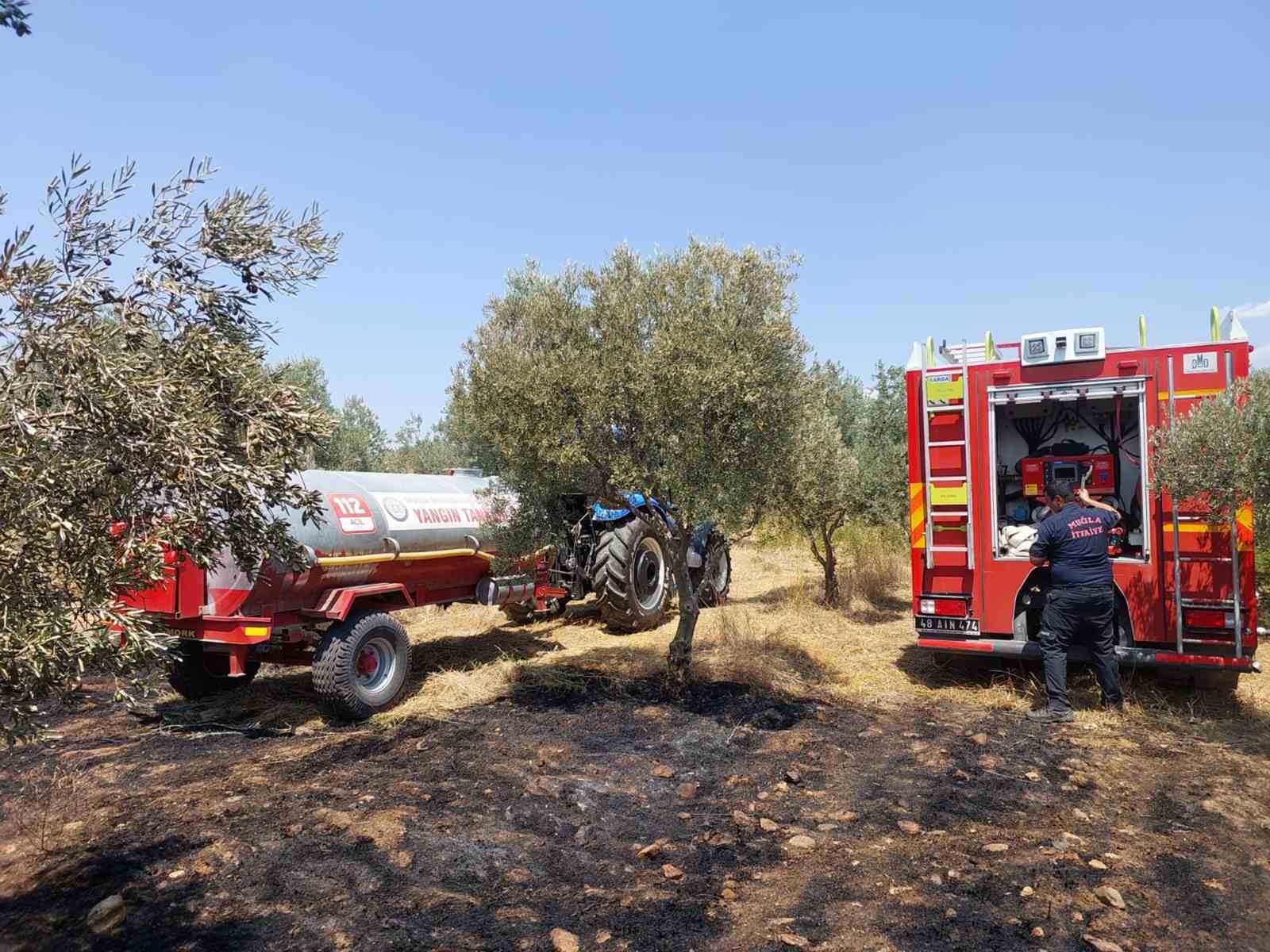 Muğla’daki her 10 yangından 7’si insan kaynaklı