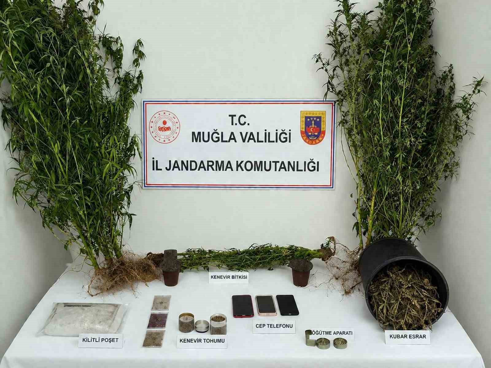 Muğla Jandarmasından uyuşturucu tacirlerine operasyon: 33 tutuklama