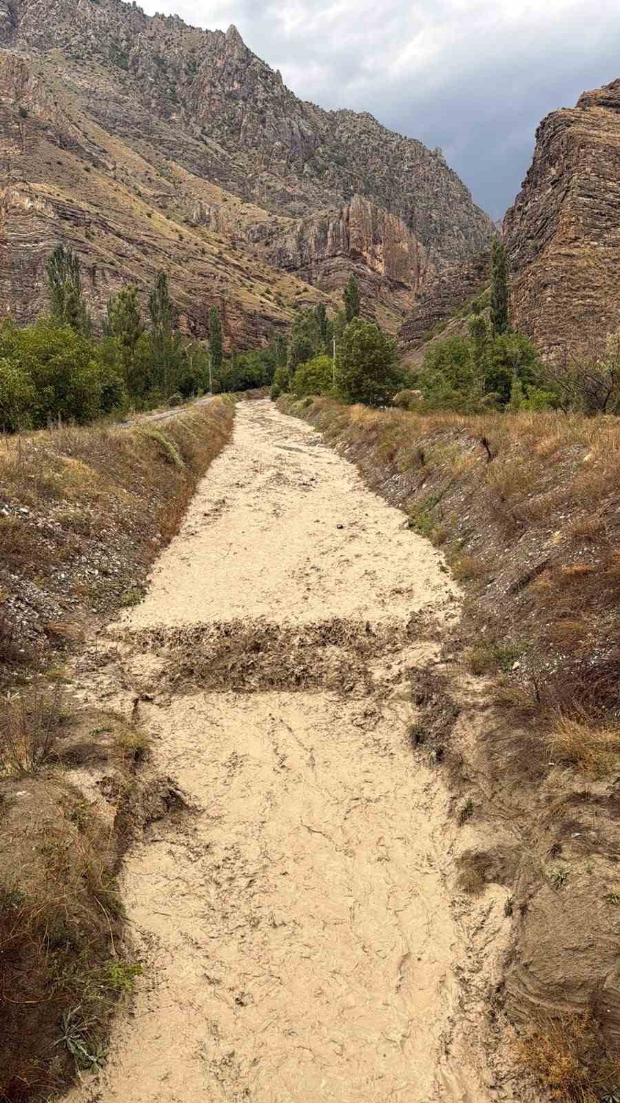 Erzurum-Artvin Karayolunda sel: Dereler taştı, bir araç mahsur kaldı