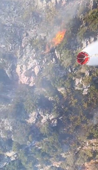 Akseki’de orman yangını